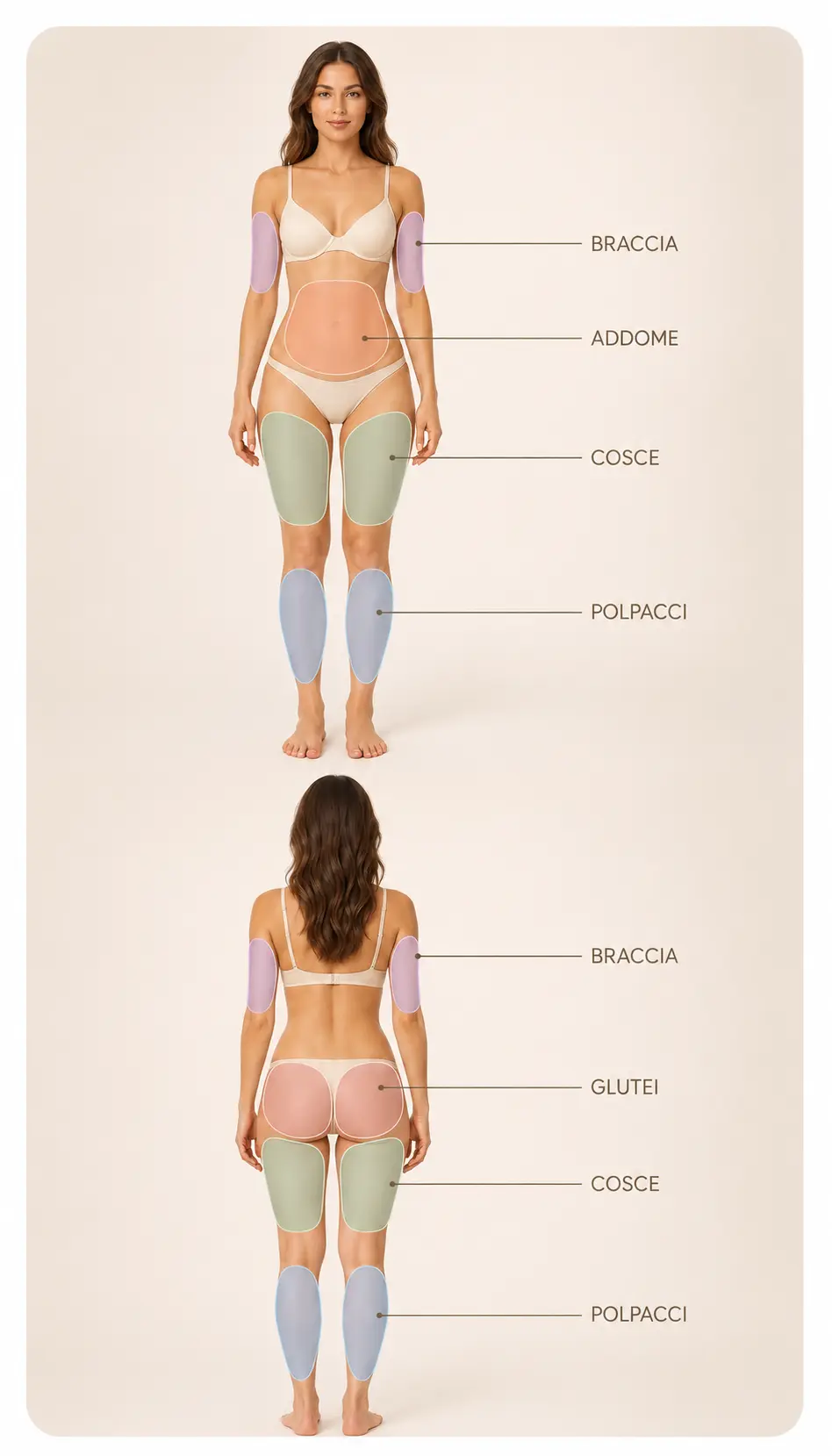 Aree del corpo trattabili con MyTone: addome, glutei, cosce, braccia e polpacci